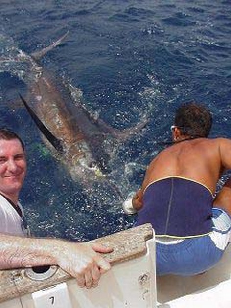 blue marlin Cavalier & Blue Marlin Sport Fishing Gran Canaria