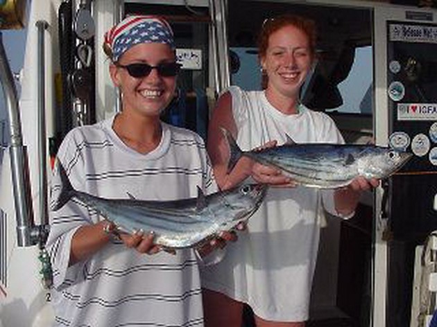 skipjack tuna Cavalier & Blue Marlin Sport Fishing Gran Canaria