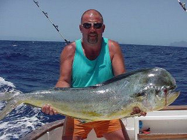 dorado Cavalier & Blue Marlin Sport Fishing Gran Canaria