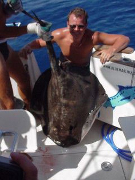 roughtail stingray Cavalier & Blue Marlin Sport Fishing Gran Canaria