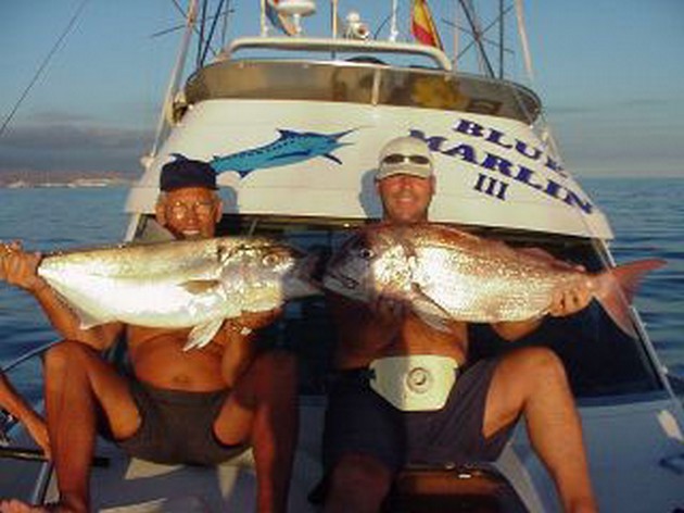 red snapper & amberjack Cavalier & Blue Marlin Sport Fishing Gran Canaria