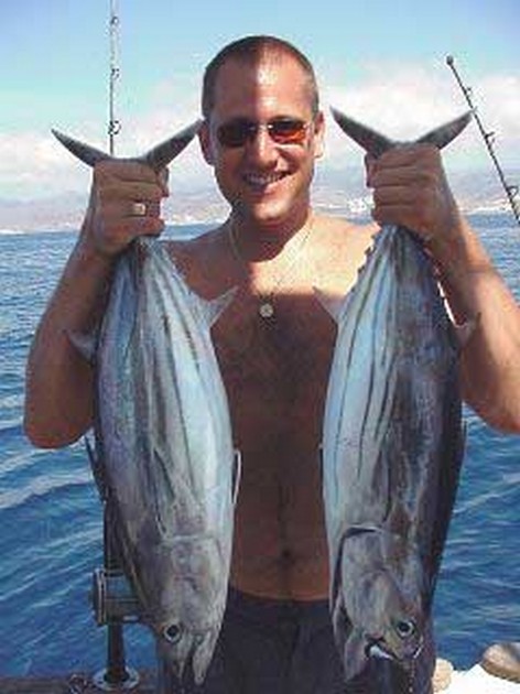 skipjack tuna Cavalier & Blue Marlin Sport Fishing Gran Canaria