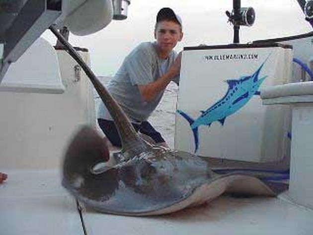 common stingray Cavalier & Blue Marlin Sport Fishing Gran Canaria