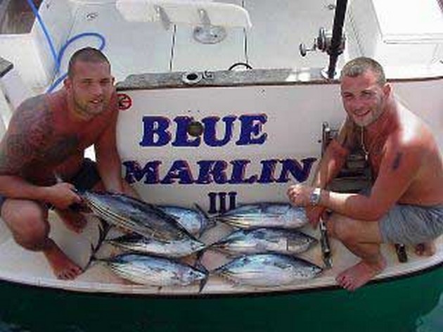 skipjack tuna Cavalier & Blue Marlin Sport Fishing Gran Canaria