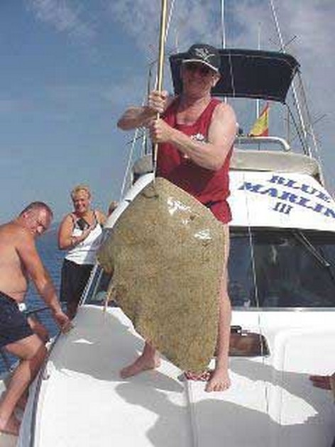 butterfly ray Cavalier & Blue Marlin Sport Fishing Gran Canaria