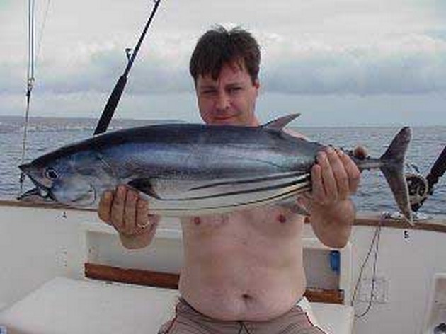skipjack tuna Cavalier & Blue Marlin Sport Fishing Gran Canaria