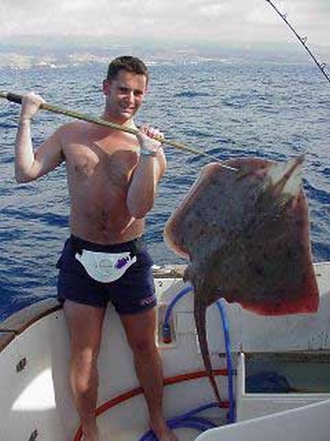 thornback ray Cavalier & Blue Marlin Sport Fishing Gran Canaria