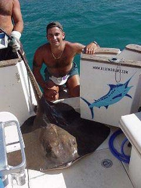 common stingray Cavalier & Blue Marlin Sport Fishing Gran Canaria