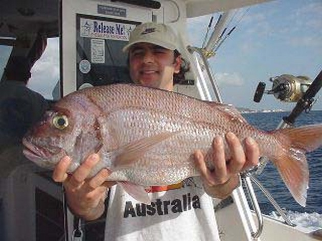 red snapper Cavalier & Blue Marlin Sport Fishing Gran Canaria