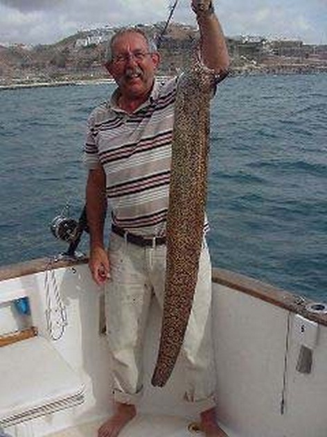 mediterranean moray eel Cavalier & Blue Marlin Sport Fishing Gran Canaria