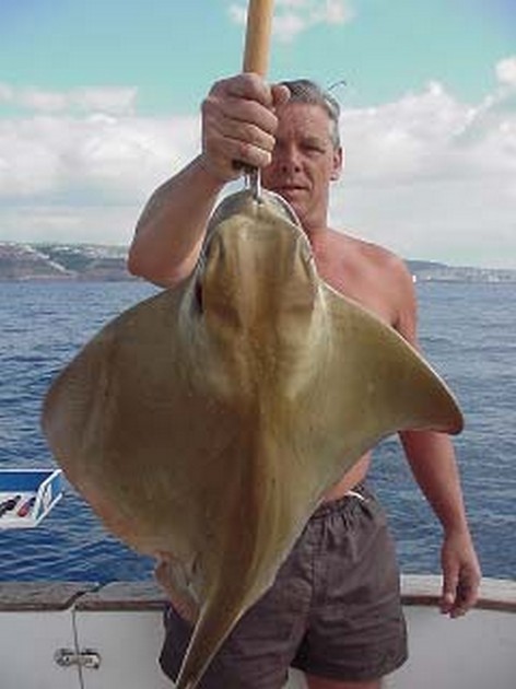 eagle ray Cavalier & Blue Marlin Sport Fishing Gran Canaria