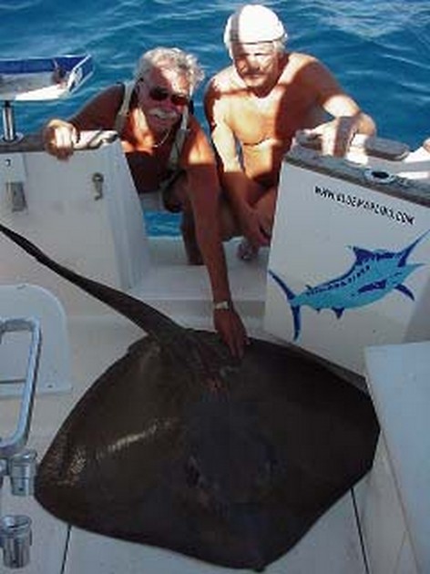 common stingray Cavalier & Blue Marlin Sport Fishing Gran Canaria