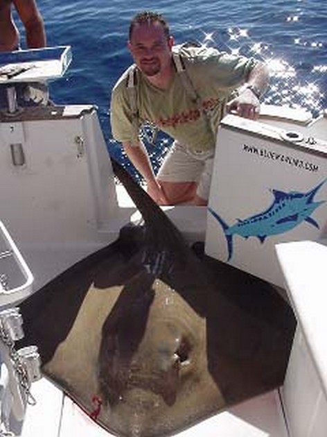 common stingray Cavalier & Blue Marlin Sport Fishing Gran Canaria