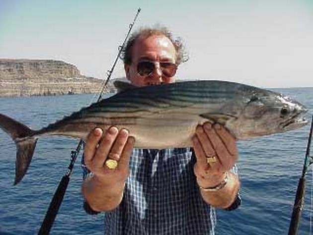 north atlantic bonito Cavalier & Blue Marlin Sport Fishing Gran Canaria