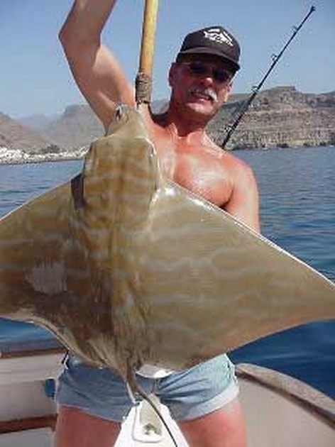 duckbill ray Cavalier & Blue Marlin Sport Fishing Gran Canaria