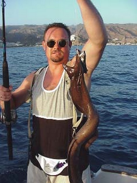 brown moray eel Cavalier & Blue Marlin Sport Fishing Gran Canaria