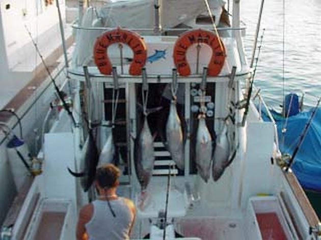 albacore tuna Cavalier & Blue Marlin Sport Fishing Gran Canaria