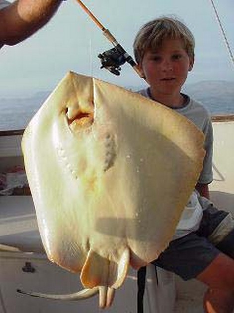 common stingray Cavalier & Blue Marlin Sport Fishing Gran Canaria