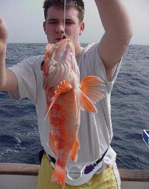 wreckfish Cavalier & Blue Marlin Sport Fishing Gran Canaria