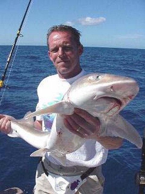 smooth hound Cavalier & Blue Marlin Sport Fishing Gran Canaria