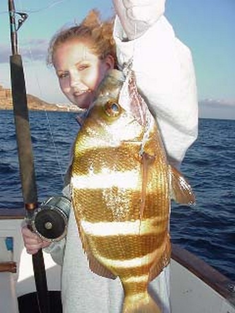 zebra seabream Cavalier & Blue Marlin Sport Fishing Gran Canaria