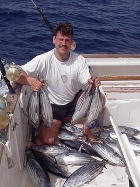 skipjack tuna Cavalier & Blue Marlin Sport Fishing Gran Canaria