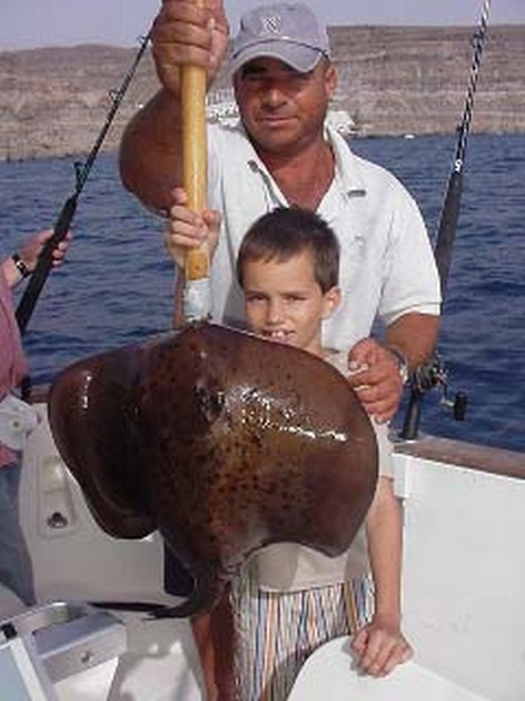 roughtail stingray Cavalier & Blue Marlin Sport Fishing Gran Canaria