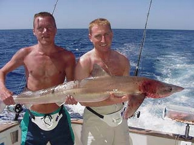 tope Cavalier & Blue Marlin Sport Fishing Gran Canaria