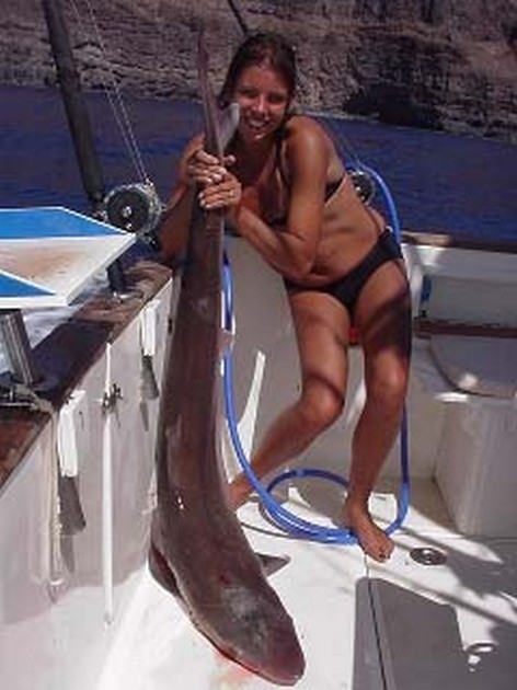 tope Cavalier & Blue Marlin Sport Fishing Gran Canaria