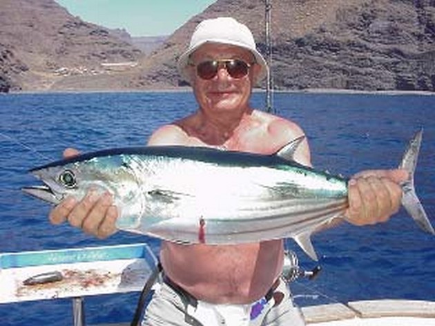 skipjack tuna Cavalier & Blue Marlin Sport Fishing Gran Canaria