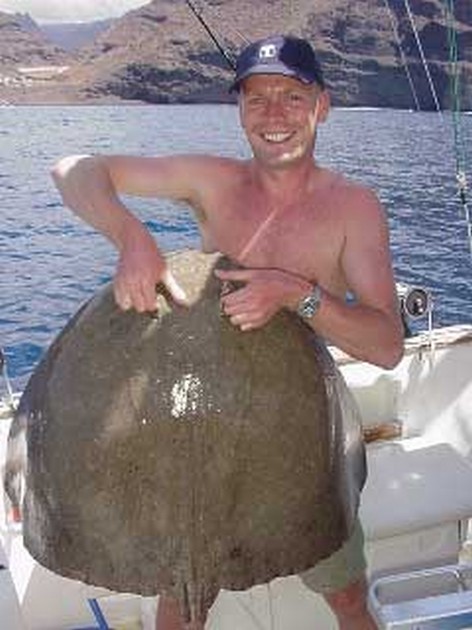 butterfly ray Cavalier & Blue Marlin Sport Fishing Gran Canaria