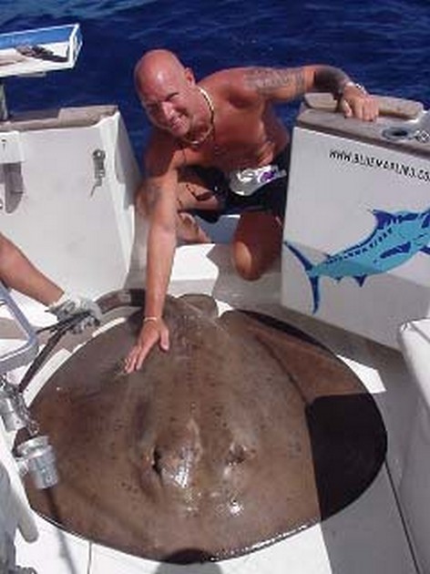 round stingray Cavalier & Blue Marlin Sport Fishing Gran Canaria