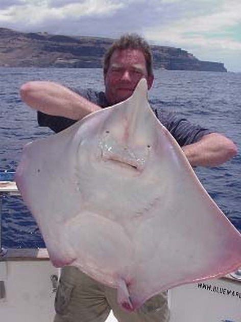 thornback ray Cavalier & Blue Marlin Sport Fishing Gran Canaria