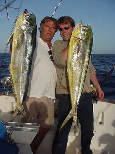 dorado Cavalier & Blue Marlin Sport Fishing Gran Canaria