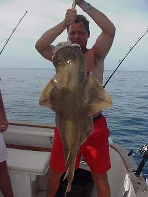 angel shark Cavalier & Blue Marlin Sport Fishing Gran Canaria