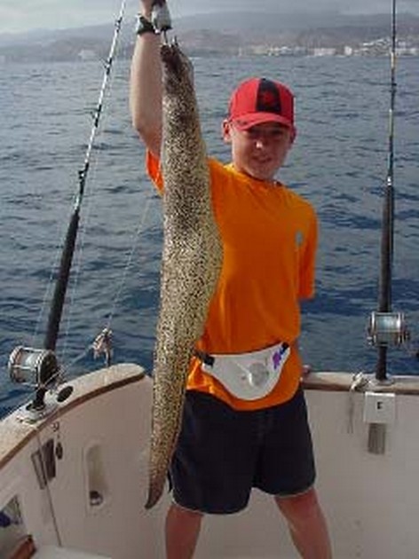 tiger moray Cavalier & Blue Marlin Sport Fishing Gran Canaria