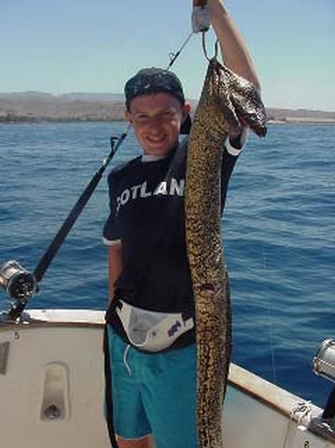 tiger moray Cavalier & Blue Marlin Sport Fishing Gran Canaria