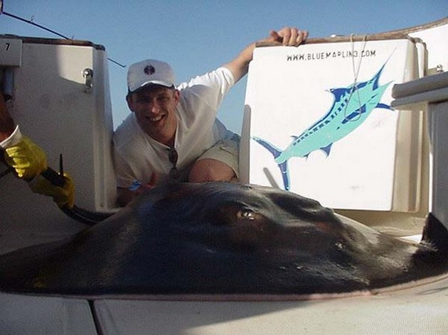 roughtail stingray Cavalier & Blue Marlin Sport Fishing Gran Canaria