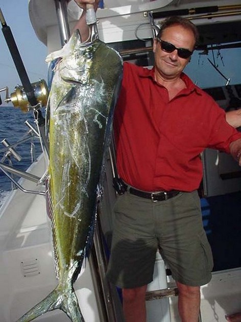dorado Cavalier & Blue Marlin Sport Fishing Gran Canaria