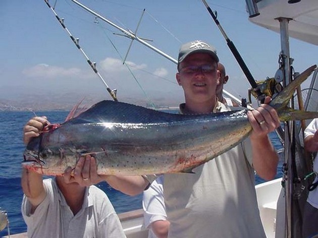dorado Cavalier & Blue Marlin Sport Fishing Gran Canaria