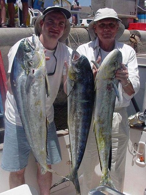 dorado Cavalier & Blue Marlin Sport Fishing Gran Canaria