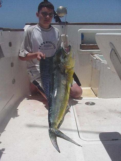 dorado Cavalier & Blue Marlin Sport Fishing Gran Canaria