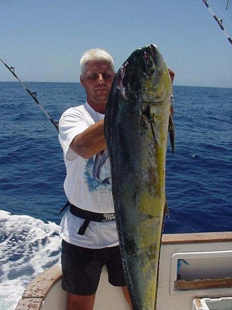 dorado Cavalier & Blue Marlin Sport Fishing Gran Canaria