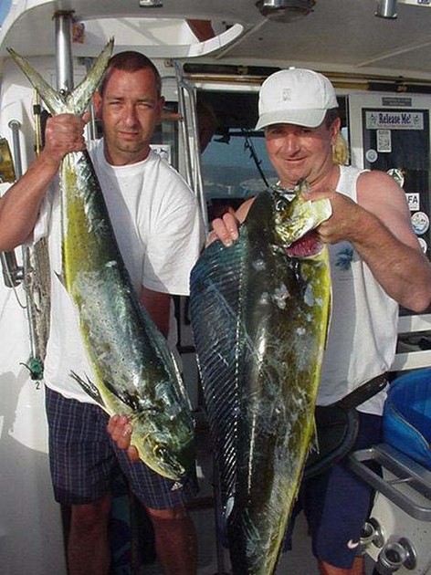 dorado Cavalier & Blue Marlin Sport Fishing Gran Canaria