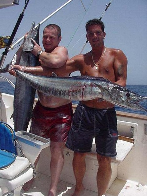 wahoo Cavalier & Blue Marlin Sport Fishing Gran Canaria