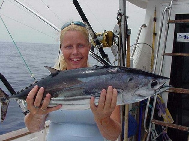 skipjack tuna Cavalier & Blue Marlin Sport Fishing Gran Canaria