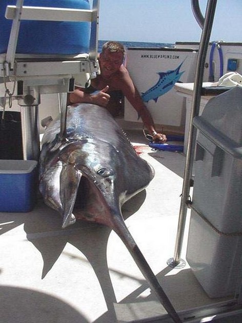 blue marlin Cavalier & Blue Marlin Sport Fishing Gran Canaria