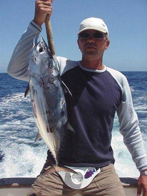 skipjack tuna Cavalier & Blue Marlin Sport Fishing Gran Canaria