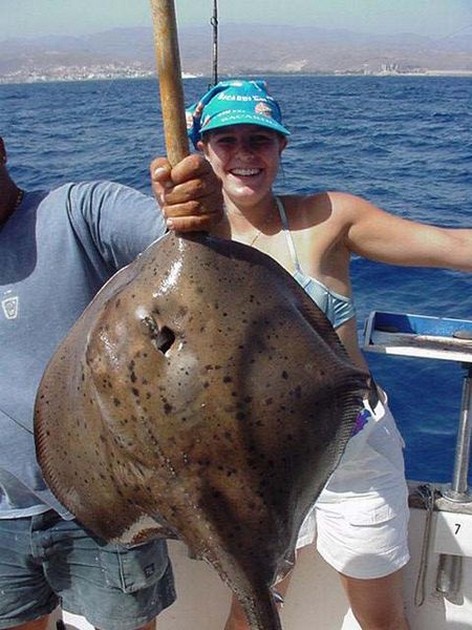 roughtail stingray Cavalier & Blue Marlin Sport Fishing Gran Canaria