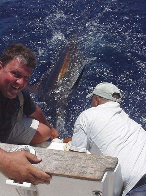 blue marlin Cavalier & Blue Marlin Sport Fishing Gran Canaria